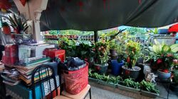Thomson Garden Estate (D20), Semi-Detached #625054601